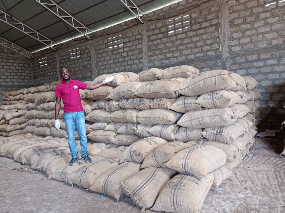 Raw Cashew Nuts and Commodities